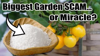 Hidden Dangers of EPSOM SALT in the Garden [upl. by Atiken]