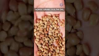 What is Kulthi Dal aka Horse Gram  Types Of Indian Dal  shorts [upl. by Letniuq]