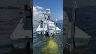 Billfish 24 Launches well while being fully loaded [upl. by Rivy]