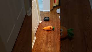 Roomba s9 iRobot navigation test around various objects [upl. by Cassandre]