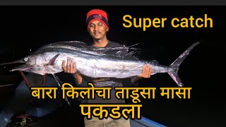 आज बारा किलोचा ताडूसा मासा पकडला  INDIAN FISHING  fishing kokanfishing fishcatching [upl. by Llenrag]