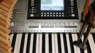 CLICK  SONG  Qongqothwane aus Südafrika  Yamaha Keyboard PSR s710 [upl. by Rennerb]