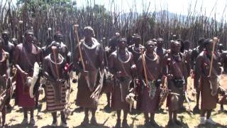 Kingdom of Swaziland Warriors [upl. by Norga865]