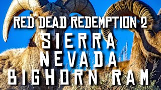 Sierra Nevada Bighorn Ram  Red Dead Redemption 2 RDR2 rdr2 [upl. by Onaicilef]