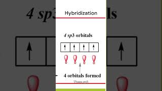 Hybridization in Carbon chemistry carbon hybridisation [upl. by Ardnaeel]