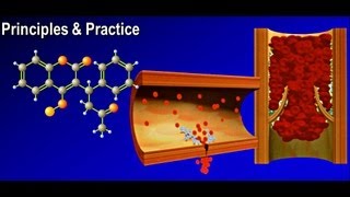 Management of Oral Anticoagulant Therapy  Warfarin [upl. by Anua]