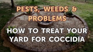 How to Treat Your Yard for Coccidia [upl. by Enaoj468]