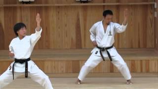 Okamotosensei demonstrating kata Empi [upl. by Steffen638]