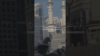 surah Al jasiyah ayat 8 shortvideo quranexplore quransurah viralvideo [upl. by Ericka]