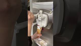 Single flavor small soft serve machine LY108 [upl. by Ditter]