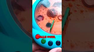 Ferro learned some tricks petlover kickstarter toys tamagotchi pokémon [upl. by Edora]