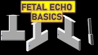 Fetal ECHO Part 1  Basics explained  With probe positions [upl. by Rafaelita]