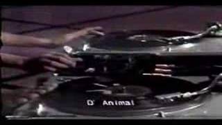 DJ OMAR D ANIMAL 91 dmc phil finals [upl. by Esinal]