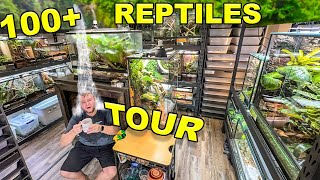 Reptile ROOM Tour March 2024 Over 100 pet reptiles [upl. by Annoyi]