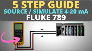 How To Source 420 Milliamps Using The Fluke 789 ProcessMeter [upl. by Polard]