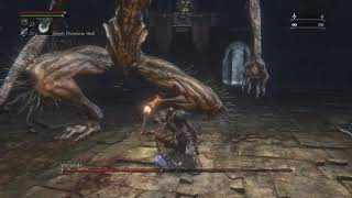 Amygdala Boss Fight Defiled Chalice Dungeon Layer 3 Bloodborne™ [upl. by Asamot]