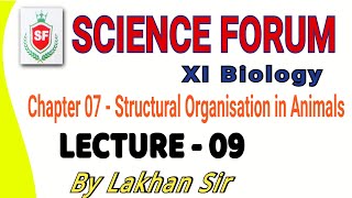 Structural organisation in animals  Lecture 09  By Lakhan Sir  XI Biology NEET [upl. by Eimmak]