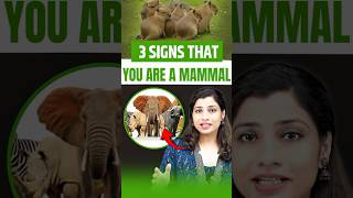 3 signs that you are a Mammal  NEET Concept neetbiology neet2025 riturattewal mammals [upl. by Casimir832]