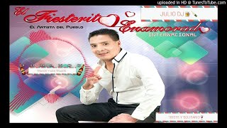 EL FIESTERITO ENAMORADO TRISTE Y SOLITARIO [upl. by Doreg115]