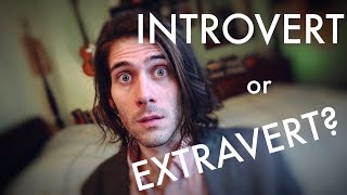 Introvert vs Extravert a Common MBTI Mistype [upl. by Nhar]