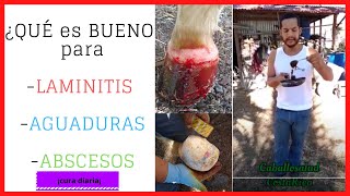 📌¿QUÉ es BUENO para la LAMINITIS  AGUADURAS o ABSCESOS 📍 TRATAMIENTO diario📍 [upl. by Arther5]