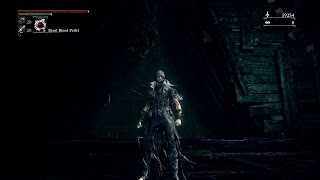 Bloodborne  Harrowed Armour Set Location [upl. by Amand]