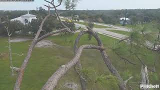 SWFL Bald Eagles 10162024 1207 [upl. by Erdnaet]