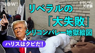 【異変】トランプ、GAFAMの町を制圧？「ヤク中だらけ」で怒り爆発…IT富豪の寝返りが止まらない（ハリス／Trump／Harris／マスク／Elon Musk／シリコンバレー／election） [upl. by Nylireg]