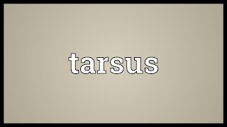 Tarsus Meaning [upl. by Ellswerth997]