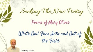 Seeking The New Poetry  Poems of Mary Oliver  White Owl Flies Into and Out of the Field [upl. by Storer]