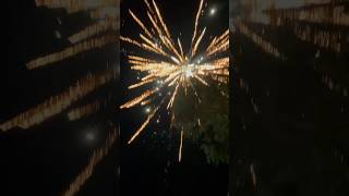 “FIRE IN THE HOLEEE ”🎇 fireworks shorts funny [upl. by Ahsemal]