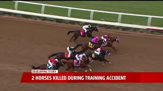 2 Horses Killed During Training Accident [upl. by Radford72]