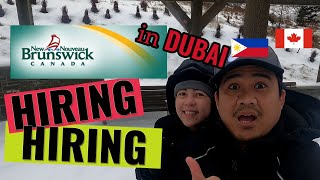 Pinoy sa Canada New Brunswick Recruitment Event in Dubai [upl. by Annaet]