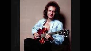 Butterfly—Lee Ritenour [upl. by Kram]