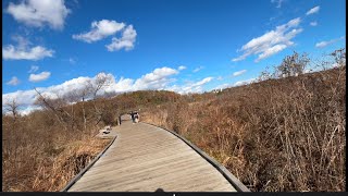 Neabsco Creek Boardwalk Woodbridge VA budget day outing younger kids [upl. by Aylsworth]