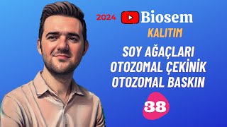 Otozomal Çekinik Baskın  39 Günde TYT Biyoloji Kampı38  10 Sınıf Biyoloji Kampı10  2024 [upl. by Anirbes]