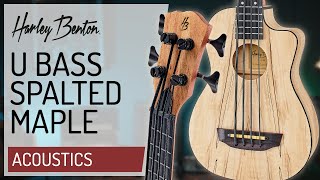 Harley Benton  UBass Spalted Maple  Bass Ukulele [upl. by Anais24]