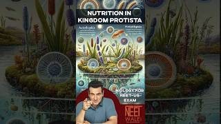 Nutrition in Kingdom Protista  Biological classification  class 11  NEET BIOLOGY  neet biology [upl. by Matlick]