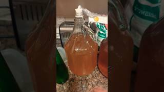 MAKE YOUR OWN MEAD FOR £5 0 [upl. by Ellered]