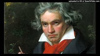 Ludwig van Beethoven  Sonata No 10 in G major for violin and piano Op 96  3 Scherzo Allegro [upl. by Eytteb]