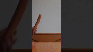 Sausage song funny funnyvideo funnymoments funnyvideos fun funnyshorts music musicvideo [upl. by Droffats]