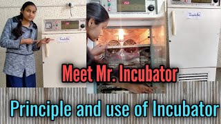 Microbiological incubator in hindi  BOD incubator  how to incubate microorganism [upl. by Attena365]