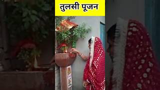 Kere lagabe Tulsi ke gachiya tulsipuja chhailabihari viratbalram [upl. by Gerty]