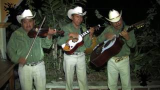 EL CAIMAN Trío Orgullo Poblano Pantepec 2012 [upl. by Long]