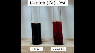 Cerium IV Test for Phenols [upl. by Zoilla]