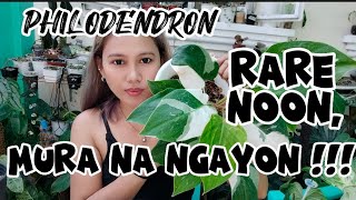 TOP 10 RARE PHILODENDRON NA MURA NA NGAYON [upl. by Ming]