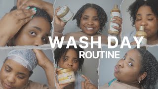 Natural hair Wash day Routine [upl. by Ridinger645]