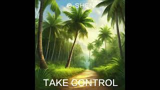 OSHEN  Take Control [upl. by Yrennalf826]