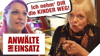 quotDie Kinder gehen vor die Hundequot  Schwiegermutter droht mit Amt  12  Anwälte im Einsatz SAT1 [upl. by Natalee400]