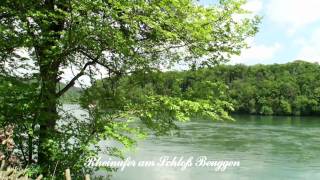 RheinfeldenBaden  Panorama Video [upl. by Moorish655]